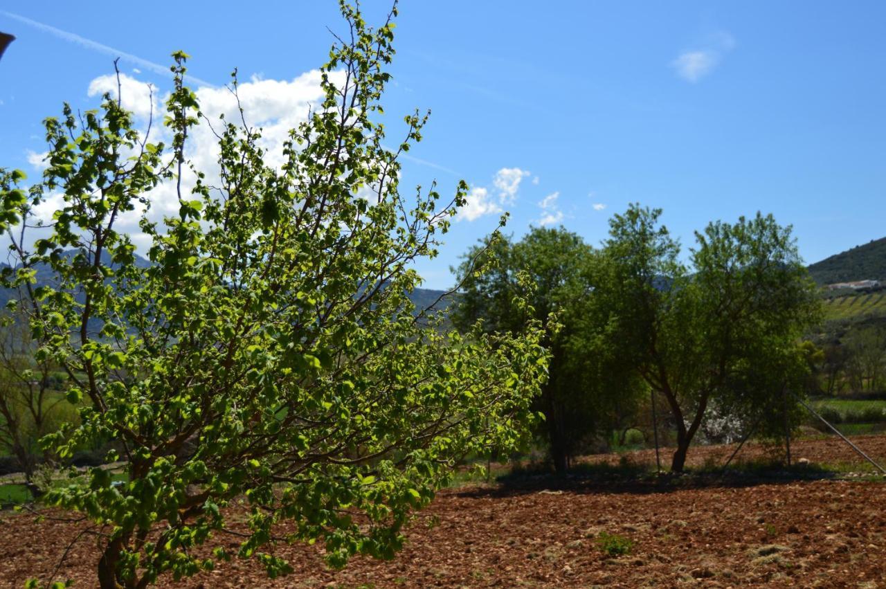 مبيت وإفطار Villanueva del Rosario Cortijo Petra المظهر الخارجي الصورة