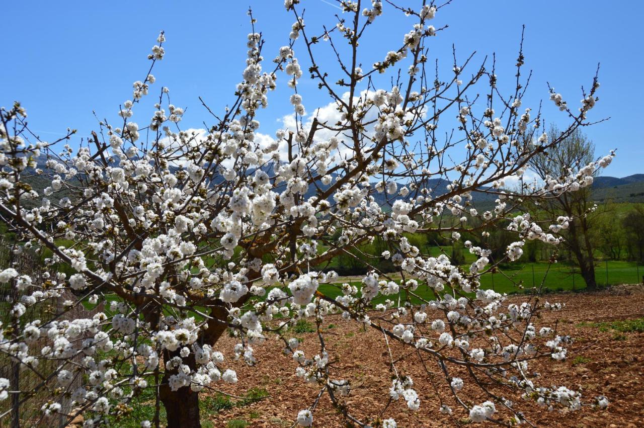 مبيت وإفطار Villanueva del Rosario Cortijo Petra المظهر الخارجي الصورة