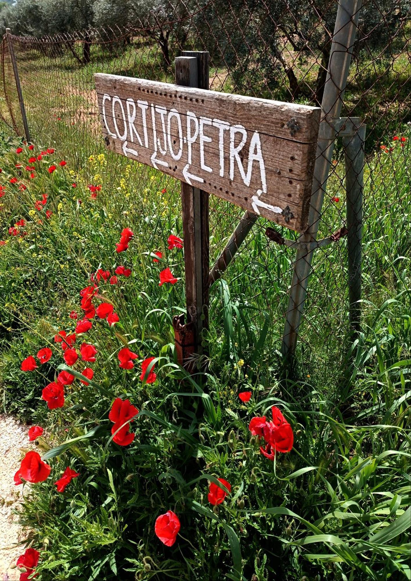 مبيت وإفطار Villanueva del Rosario Cortijo Petra المظهر الخارجي الصورة
